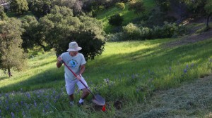 Ojai Trees co-founder Garrett Clifford was on hand Saturday to help with the tree planting at the Upper Campus -- Photo by Tracy Wilson