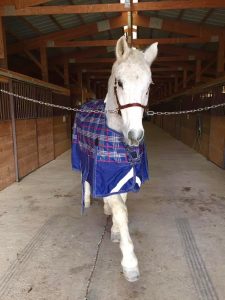 Kronos arrives in Colorado.