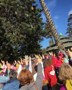 Protesters at Plaza Park in Ventura -- Photo submitted by Caitlin Cooper